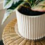 Vinyl Plant Saucer – Clear – 8″